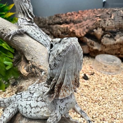 scousepower1878's profile picture. 