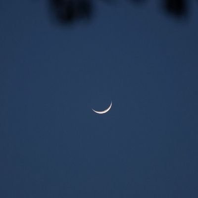 Nanana9776's profile picture. 