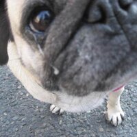 minmin (@de_brocante) Twitter profile photo