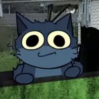 boomer cat reloaded(@boomer_cat17) 's Twitter Profile Photo