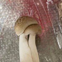 namen (@moremore_shokuj) 's Twitter Profile Photo