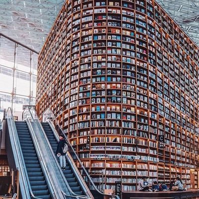 Adejumo03131358's profile picture. Librarian