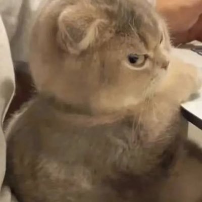 amyrainyy's profile picture. พี่ขอสักชื่อแนนนะ