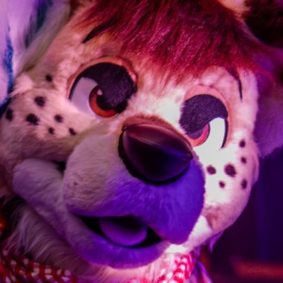 Waffledog ๐ ? Profile