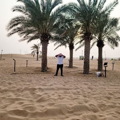 Divon Novid™ Profile