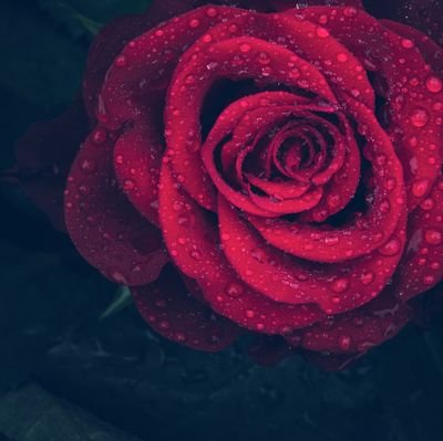 ns9229580024084's profile picture. 