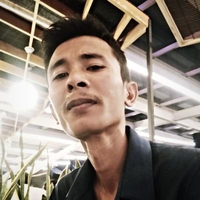 PisonNilsam's profile picture. anoma 🧙 Gnoma (🧙‍♂️,🧙‍♂️) Anomage Reddio