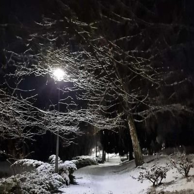 Noa7111981's profile picture. noamenbenaissa