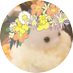 고양이 (@unico_cats2) Twitter profile photo 고양이 (@unico_cats2) Twitter profile photo