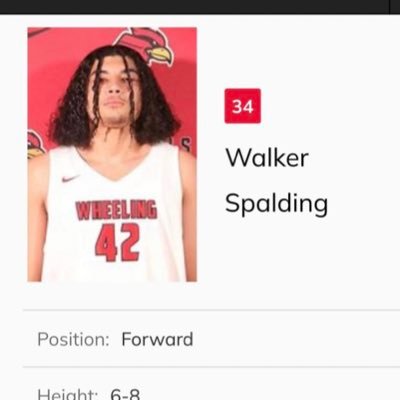 6’8. 220 Redshirt Freshman at Wheeling University NCAA DII