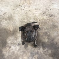 Bluebell (@bluebell1470047) 's Twitter Profile