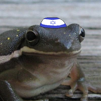 Totally 100% Jewish Frog, no cap frfr   My troonouns are Not/Fed   THE HOLY LAND BELONGS TO CHRIST   Co-Host of The Chudcast   Check my Highlights for my views