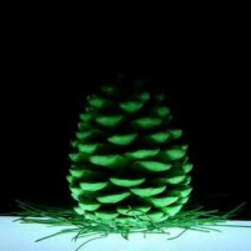 MrPynCohn's profile picture. 