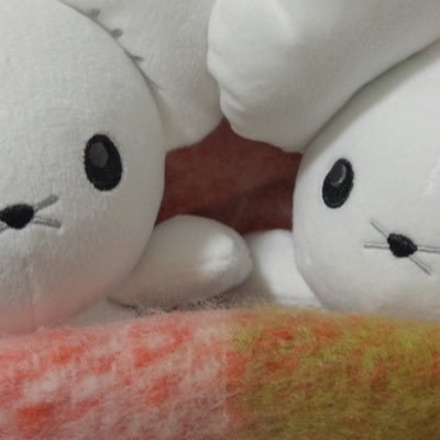 pun_mainichi's profile picture. いつかの悲しい日に備えたかわいい貯金