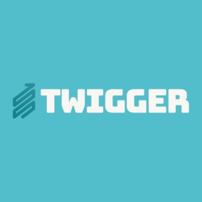 TwiggerBusiness Profile Picture