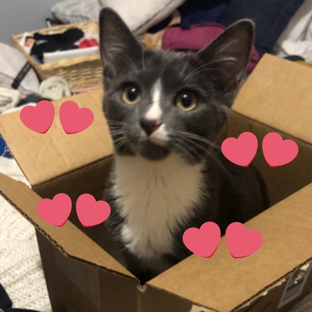 Chlomoneyhoneyy's profile picture. I’m a main character what can I say. here to talk movies, pop culture, and talk shit🤍 pay a bitch @ccmoney14 PayPal