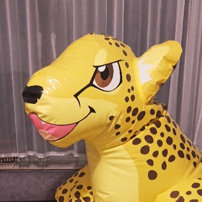 PouncingCheetah Profile Picture