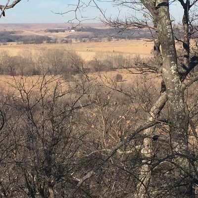 ZT760004's profile picture. 