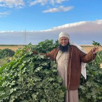 عبدربه عثمان العميري (@abdradoosman) 's Twitter Profile Photo