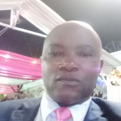 ToutouRustyc's profile picture. 