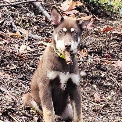 JennLocke4's profile picture. 