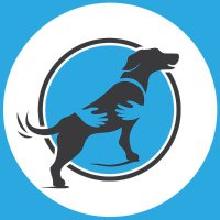 Lovable Paws Rescue (@lovablepawsresq) 's Twitter Profile