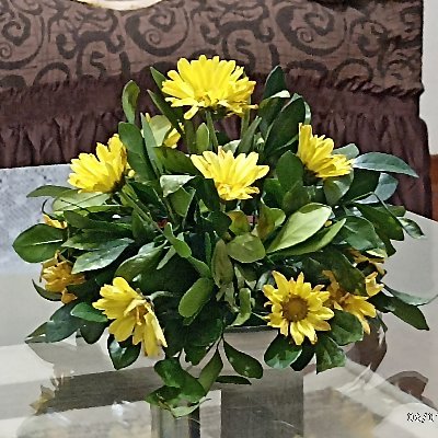 manulslp27's profile picture. 