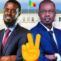 Sylent 🇸🇳🇺🇸(@GrzSylent) 's Twitter Profile Photo