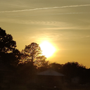 Brooklynn Carter - @justforfunzies8 - Twitter