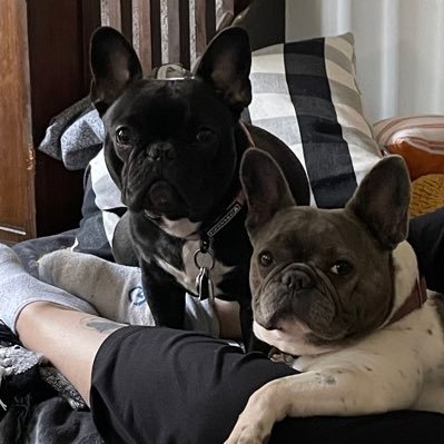 Mobius97522213's profile picture. Just trolling mostly with a dash of sarcasm.