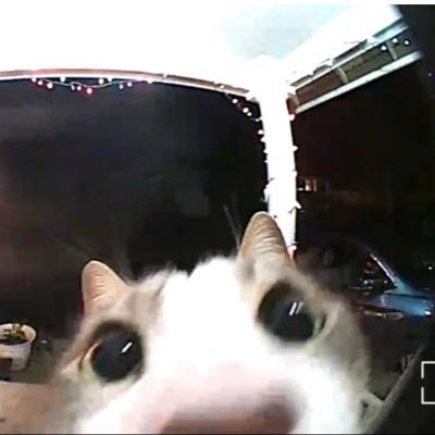 Yacoberman's profile picture. 