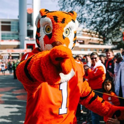 BraveTiger2021 Profile Picture