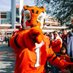 WALKonFAN (@bravetiger2021) Twitter profile photo WALKonFAN (@bravetiger2021) Twitter profile photo