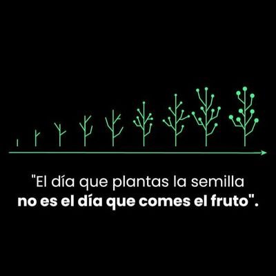 MuozAlejandro37's profile picture. Director Belle Harmoníe Centro de Salud Integral
Técnico en Prevención y Rehabilitación de Adicciones