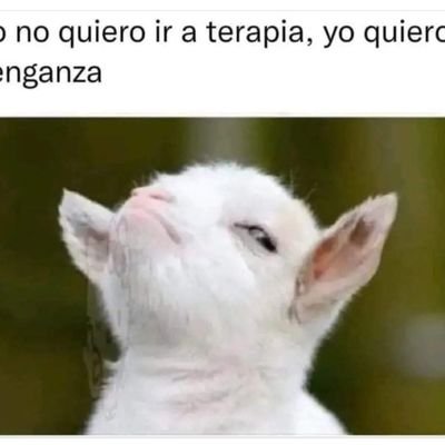 ALEXANDER7771's profile picture. VEGANO W3017093394🌈YO ME QUEDO EN CASA