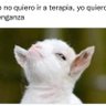 ALEXANDER7771's profile picture. VEGANO W3017093394🌈YO ME QUEDO EN CASA