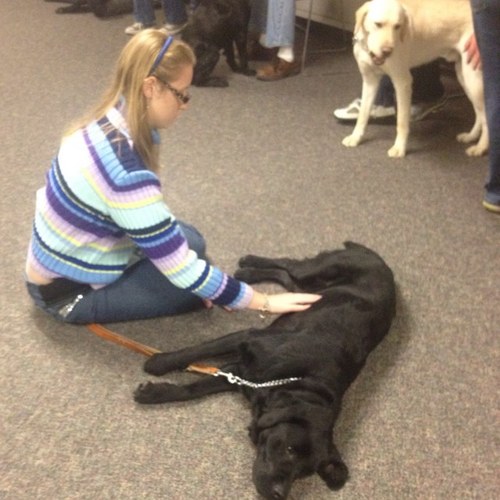 abbylovestosing's profile picture. ❇🎠 Crisis Counselor and LocalTransportation Specialist
Musician: 🎹🎻 and singer🎙️
Animal Lover: 🐕🐎🦮
🌿420🌱👸FTW🎐
🌻💜🌟👗🦄