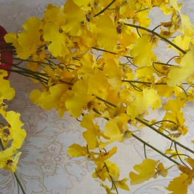 wengjing329904's profile picture. 