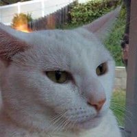 Kristian G. Andersen (@k_g_andersen) 's Twitter Profile