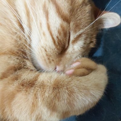 Khadposts's profile picture. 