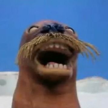 bAIJdznEZ7rvtej's profile picture. 대한민국의수구우파
대한민국의국민의힘당원
대한민국으로써 자유민주주의수호하고
빨갱이들과중공빨치산을 척결한다.