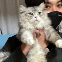 ハリー (@ssskkk21878177) 's Twitter Profile Photo ハリー (@ssskkk21878177) 's Twitter Profile Photo
