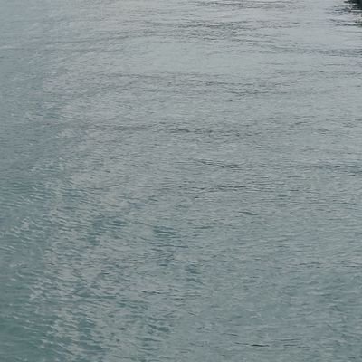 Apex_rewasd_'s profile picture. reWASD使用する方法を販売してます。
コメントにて質問もお待ちしてます。
PADが嫌いです