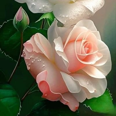 Diagonale672's profile picture. 'Zulüm ile abad olanin ahiri berbat olur.'