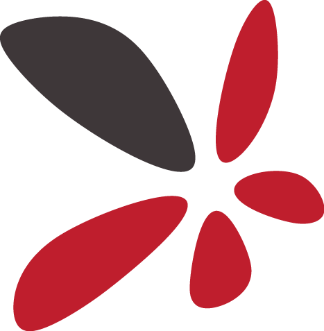 ROCServe are providers of rapid e-learning, LMS management and training consultancy.