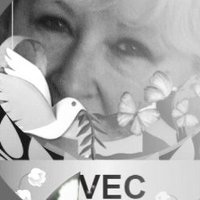 christine van essche(@vec50) 's Twitter Profile Photo