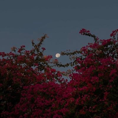 _j1ana's profile picture. 