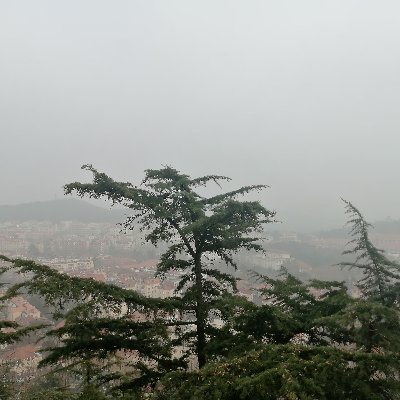 LongeeHair's profile picture. 