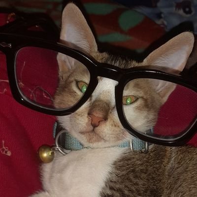 GanBahadurRana1's profile picture. 