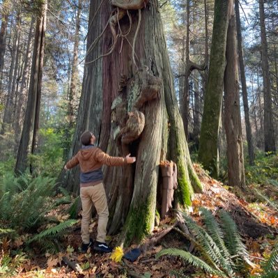 Philenose's profile picture. Magna International is all right.